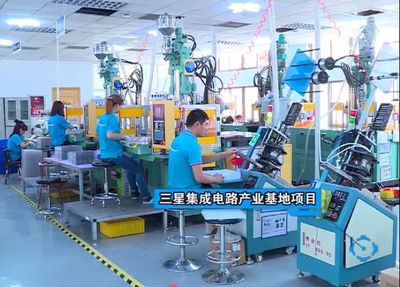 市領導調研文登，走訪家電企業共話發展